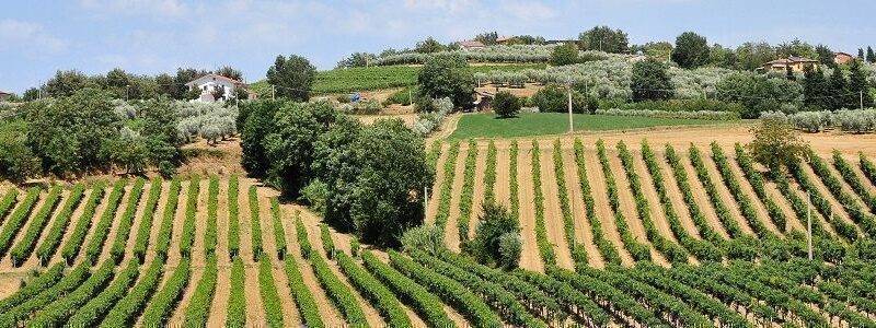 ULTIMO ORDINE SICILIA VOSTRA